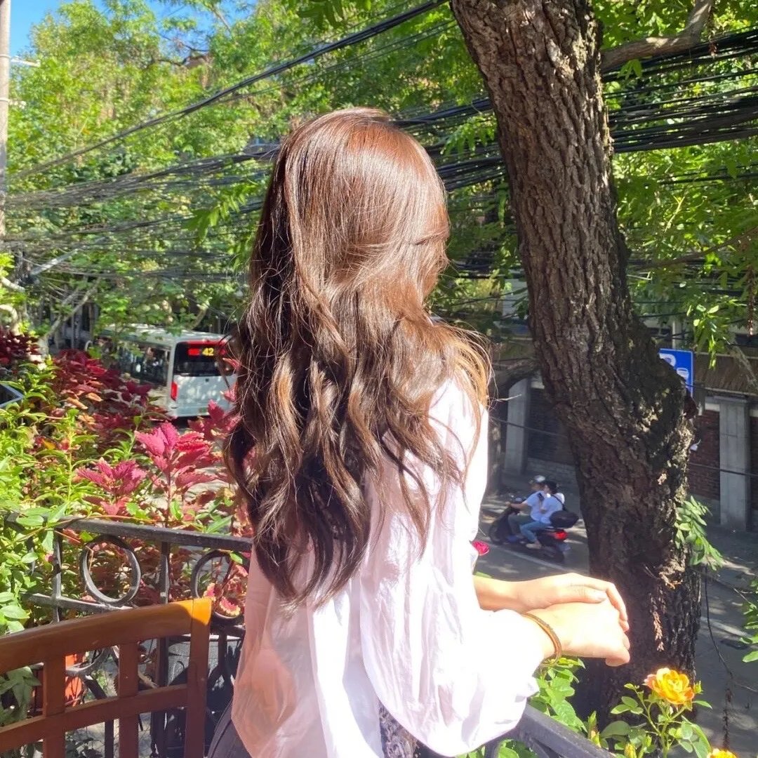 蔬菜历险记
