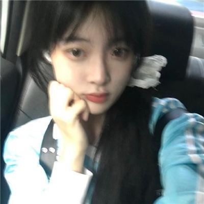 特禽鲨龙